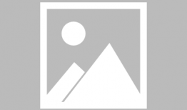 91老师直播,揭秘高效学习与成长之道