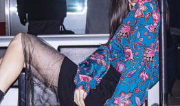 丝麻豆,探寻古老纤维的传承与创新