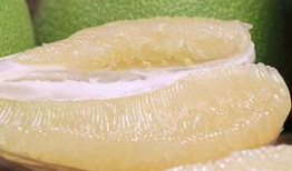 台湾麻豆文旦,甘甜多汁，品味台湾的柑橘传奇